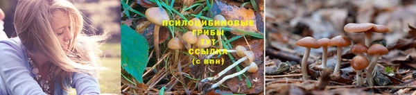 spice Каменка