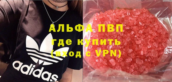 spice Каменка