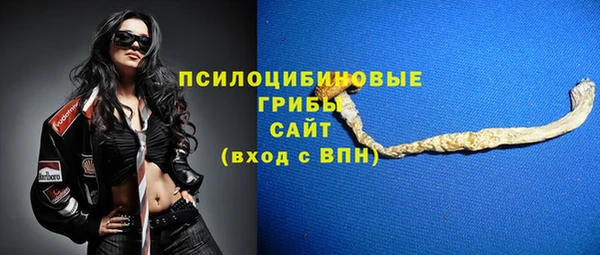 spice Каменка