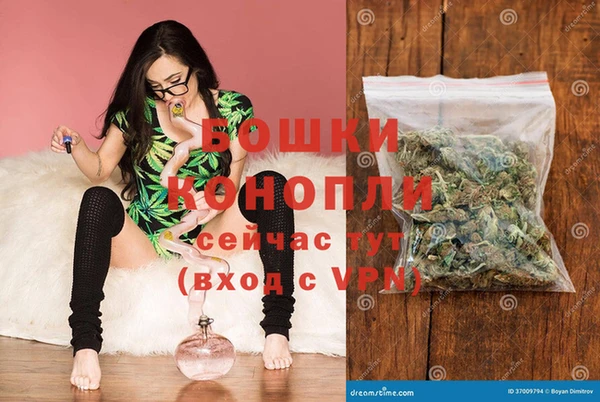 spice Каменка