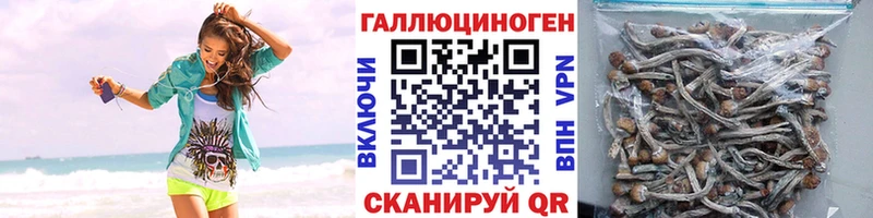 Псилоцибиновые грибы мухоморы Купить где Медногорск